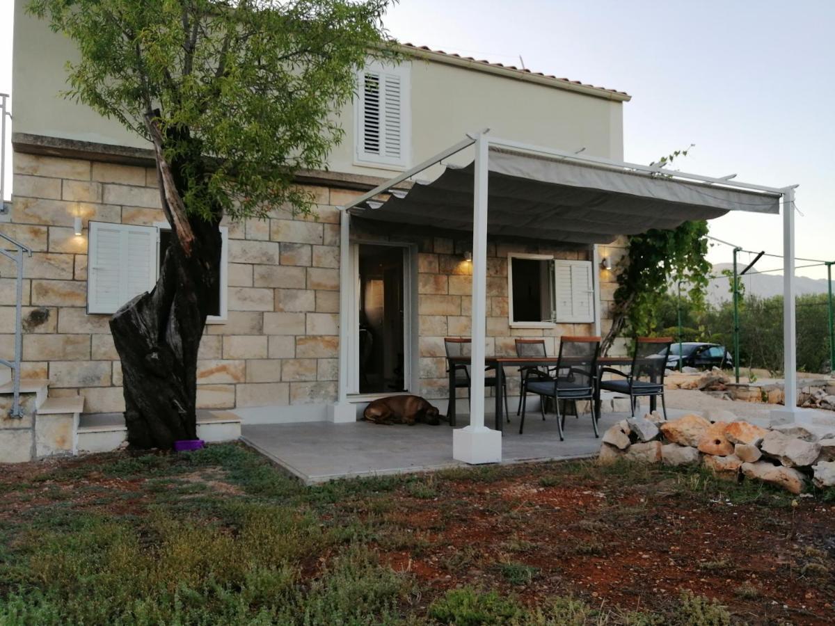 Olive Grove House Lumbarda Vila Exterior foto